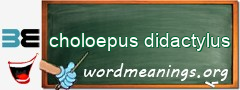 WordMeaning blackboard for choloepus didactylus